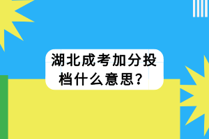 湖北成考加分投檔什么意思？