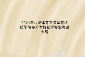 2024年武漢體育學(xué)院體育科技學(xué)院專升本舞蹈學(xué)專業(yè)考試大綱