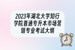 2023年湖北大學(xué)知行學(xué)院普通專升本市場營銷專業(yè)考試大綱