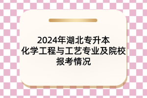 2024年湖北專升本化學(xué)工程與工藝專業(yè)及院校報考情況