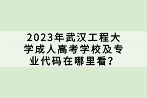 2023年武漢工程大學(xué)成人高考學(xué)校及專業(yè)代碼在哪里看？