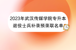 2023年武漢傳媒學(xué)院專升本退役士兵補(bǔ)錄預(yù)錄取名單