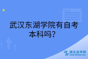 武漢東湖學(xué)院有自考本科嗎？