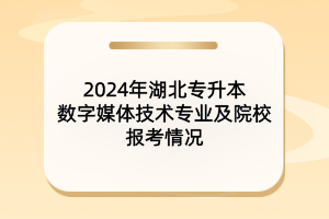 2024年湖北專升本數(shù)字媒體技術(shù)專業(yè)及院校報考情況