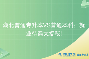 湖北普通專升本VS普通本科：就業(yè)待遇大揭秘!