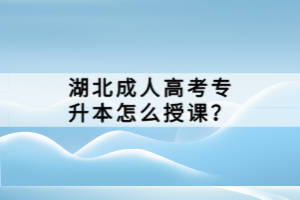 湖北成人高考專升本怎么授課？