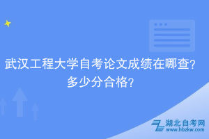 武漢工程大學自考論文成績在哪查？多少分合格？