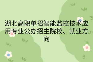 湖北高職單招智能監(jiān)控技術(shù)應(yīng)用專業(yè)公辦招生院校、就業(yè)方向