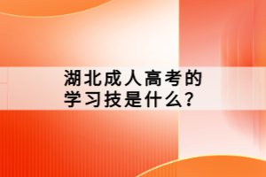 湖北成人高考的學習技是什么？