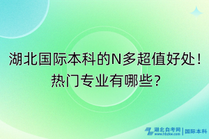 湖北國(guó)際本科的N多超值好處！熱門專業(yè)有哪些？