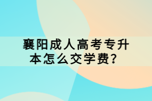 襄陽(yáng)成人高考專(zhuān)升本怎么交學(xué)費(fèi)？