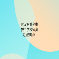 武漢東湖光電技工學校師資力量如何？