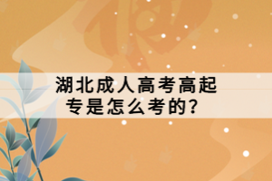 湖北成人高考高起專是怎么考的？