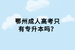 鄂州成人高考只有專(zhuān)升本嗎？