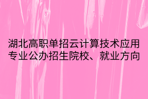 湖北高職單招云計(jì)算技術(shù)應(yīng)用專(zhuān)業(yè)公辦招生院校、就業(yè)方向