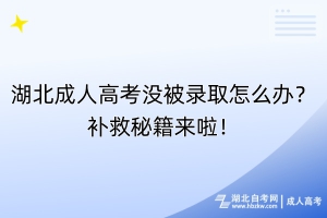 湖北成人高考沒被錄取怎么辦？補(bǔ)救秘籍來(lái)啦！