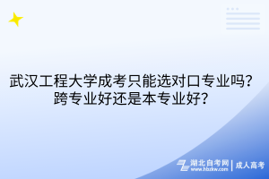 武漢工程大學成考只能選對口專業(yè)嗎？跨專業(yè)好還是本專業(yè)好？