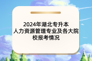 2024年湖北專(zhuān)升本人力資源管理專(zhuān)業(yè)及各大院校報(bào)考情況