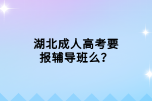 湖北成人高考要報(bào)輔導(dǎo)班么？