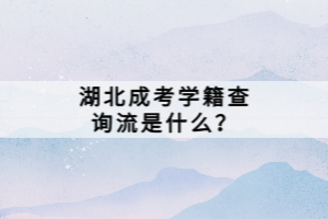 湖北成考學(xué)籍查詢流是什么？