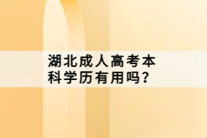 湖北成人高考本科學(xué)歷有用嗎？