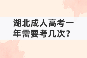 湖北成人高考一年需要考幾次？