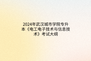 2024年武漢城市學(xué)院專升本《電工電子技術(shù)與信息技術(shù)》考試大綱