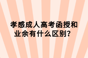 孝感成人高考函授和業(yè)余有什么區(qū)別？