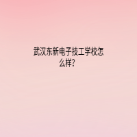 武漢東新電子技工學(xué)校怎么樣？
