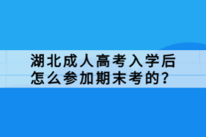 湖北成人高考入學(xué)后怎么參加期末考的？