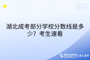 湖北成考部分學(xué)校分?jǐn)?shù)線是多少？考生速看