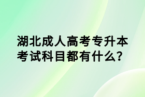 湖北成人高考專升本考試科目都有什么？