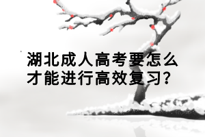 湖北成人高考要怎么才能進(jìn)行高效復(fù)習(xí)？