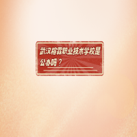 武漢榕霖職業(yè)技術(shù)學(xué)校是公辦嗎？