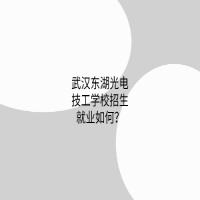 武漢東湖光電技工學校招生就業(yè)如何？