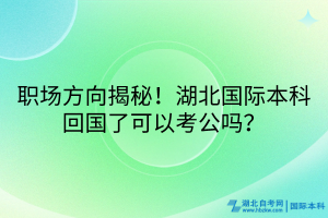 職場(chǎng)方向揭秘！湖北國(guó)際本科回國(guó)了可以考公嗎？