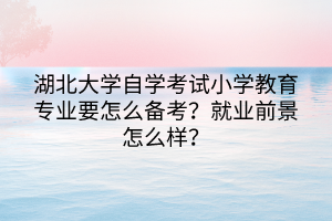 湖北大學(xué)自學(xué)考試小學(xué)教育專業(yè)要怎么備考？就業(yè)前景怎么樣？