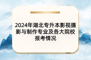 2024年湖北專升本影視攝影與制作專業(yè)及各大院校報考情況