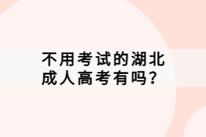 不用考試的湖北成人高考有嗎？