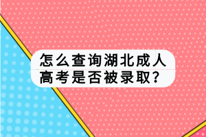 怎么查詢湖北成人高考是否被錄??？