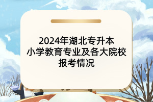 2024年湖北專升本小學(xué)教育專業(yè)及各大院校報考情況