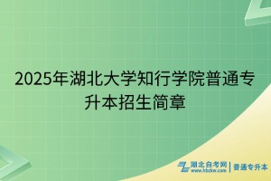 2025年湖北大學(xué)知行學(xué)院普通專升本招生簡(jiǎn)章