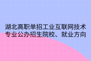 湖北高職單招工業(yè)互聯(lián)網(wǎng)技術(shù)專業(yè)公辦招生院校、就業(yè)方向