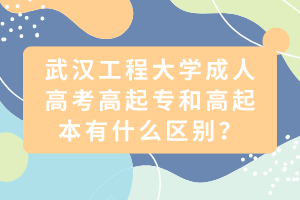 武漢工程大學(xué)成人高考高起專和高起本有什么區(qū)別？