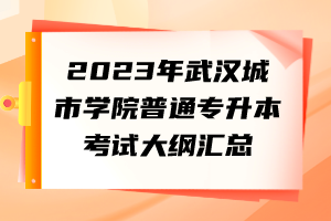 2023年武漢城市學(xué)院普通專(zhuān)升本考試大綱匯總