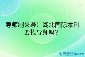 導(dǎo)師制來襲！湖北國際本科要找導(dǎo)師嗎？