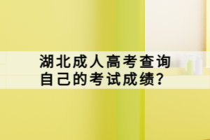 湖北成人高考查詢自己的考試成績？