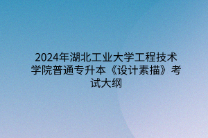 2024年湖北工業(yè)大學(xué)工程技術(shù)學(xué)院普通專升本《設(shè)計素描》考試大綱