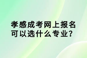 孝感成考網(wǎng)上報名可以選什么專業(yè)？