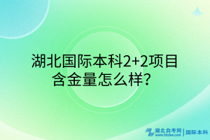 湖北國際本科2+2項(xiàng)目含金量咋樣？